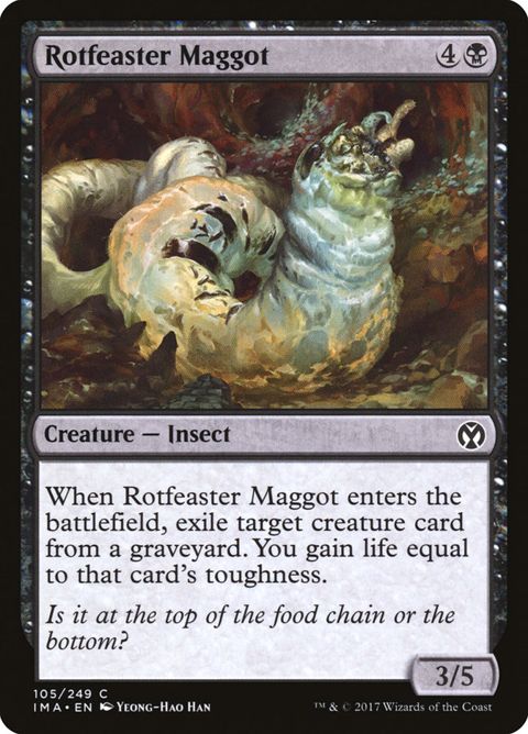 105-rotfeastermaggot