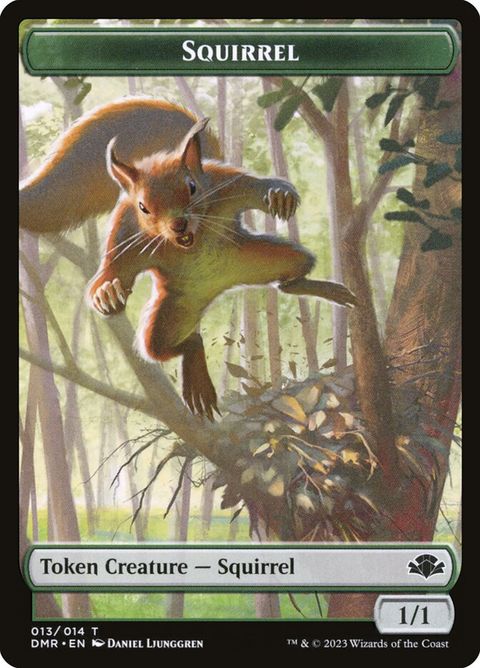 13-squirrel