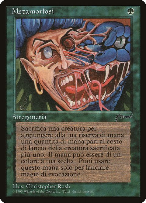 130-metamorphosis
