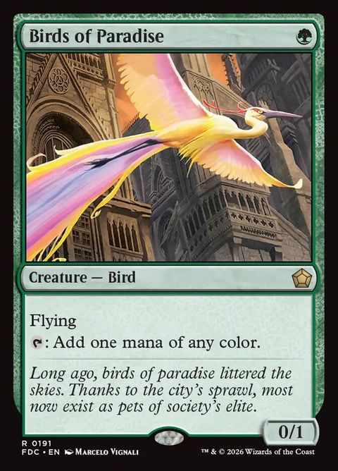 191-birdsofparadise