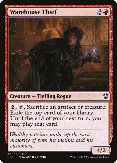 205-warehousethief