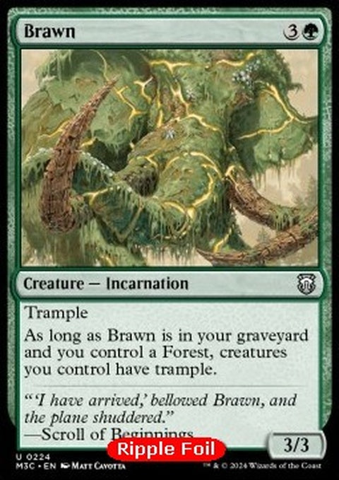 224r-brawn