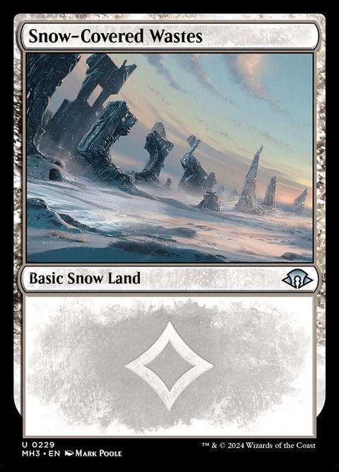 229-snowcoveredwastes