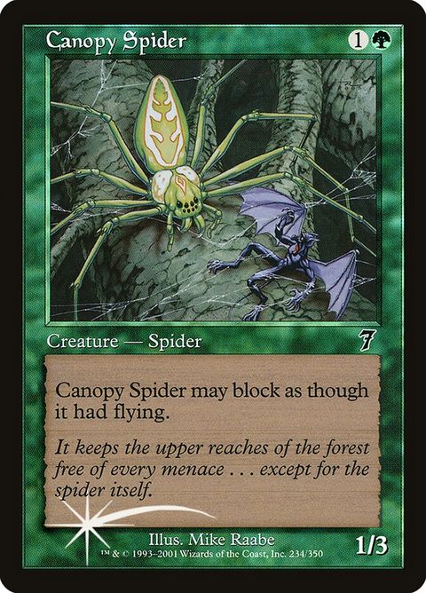 234-canopyspider