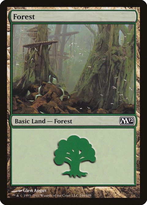 246-forest