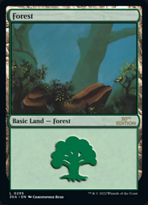 295-forest