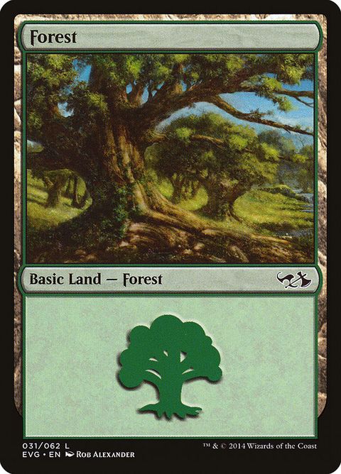 31-forest