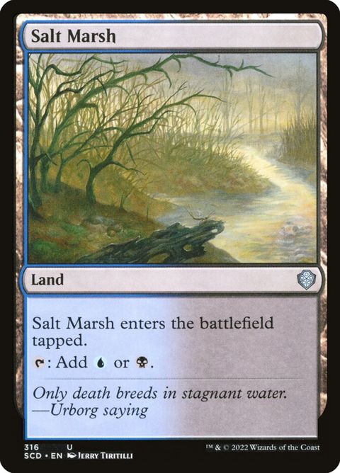 316-saltmarsh