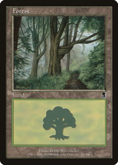 350-forest