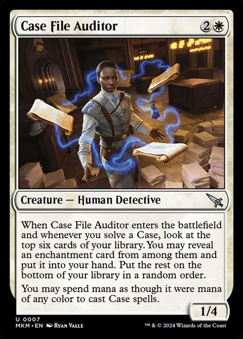 7-casefileauditor