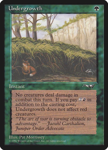 102b-undergrowth