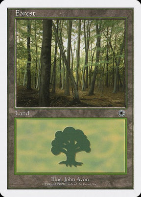103-forest