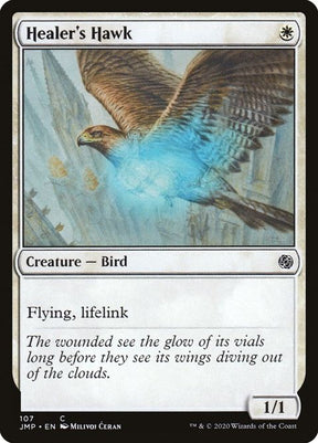 107-healershawk