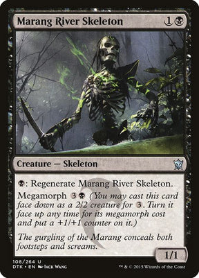108-marangriverskeleton