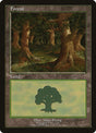 11-forest