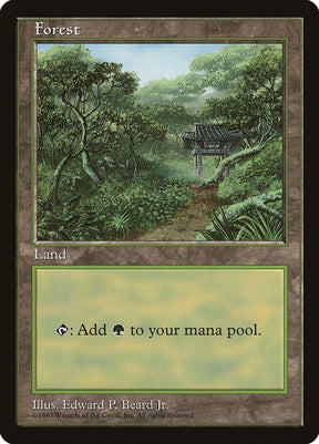 11-forest