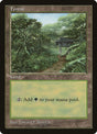 11-forest