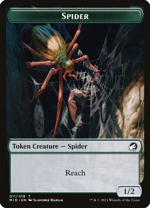 11-spider