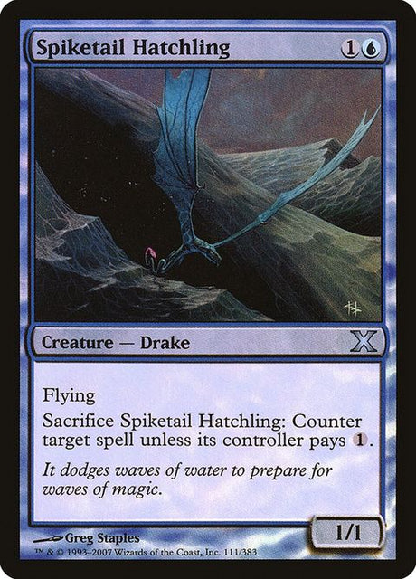 111-spiketailhatchling