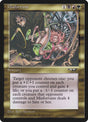 113-misfortune