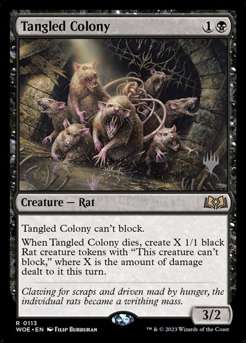 113p-tangledcolony