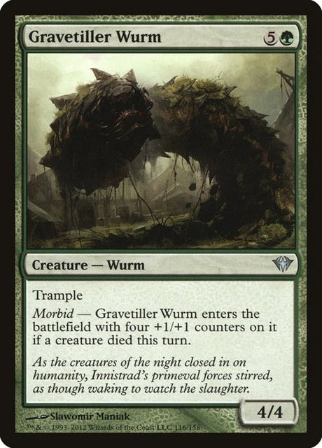 116-gravetillerwurm