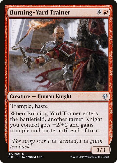 117-burningyardtrainer