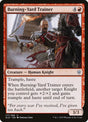 117-burningyardtrainer