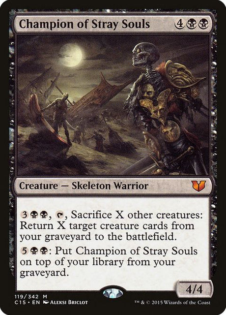 119-championofstraysouls