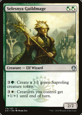 119-selesnyaguildmage