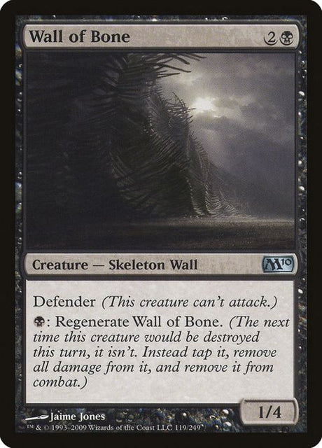 119-wallofbone