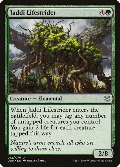 12-jaddilifestrider