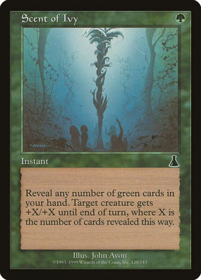 120-scentofivy