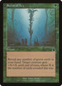120-scentofivy