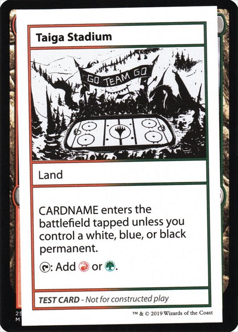 120-taigastadium