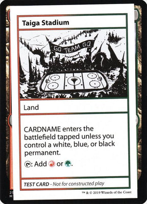 120-taigastadium
