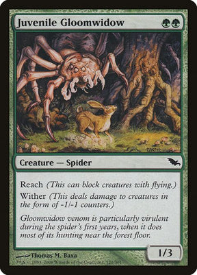 121-juvenilegloomwidow