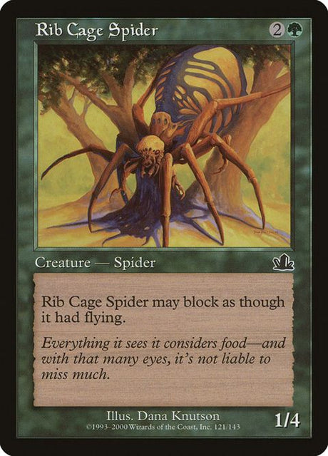 121-ribcagespider