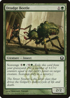 122-drudgebeetle