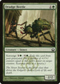 122-drudgebeetle
