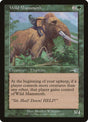 124-wildmammoth