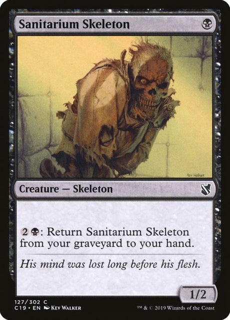 127-sanitariumskeleton