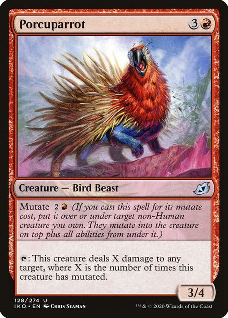 128-porcuparrot