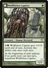 133-wolfbittencaptivekrallenhordekiller-a