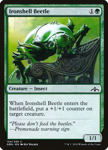 134-ironshellbeetle
