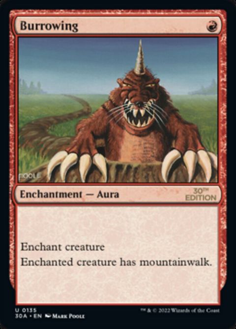 135-burrowing
