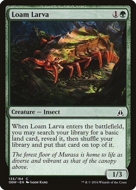 135-loamlarva