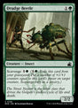 136-drudgebeetle