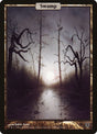 138-swamp