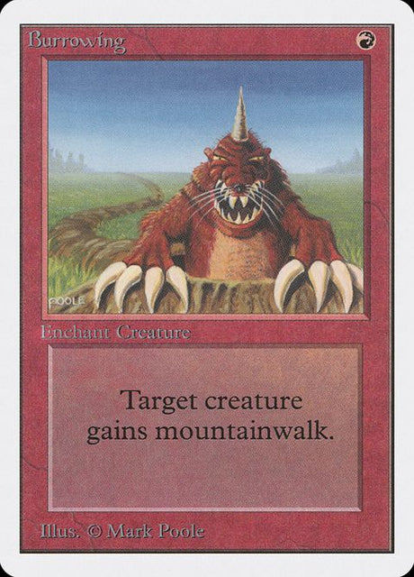 139-burrowing